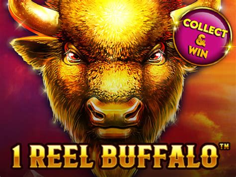 1 Reel Buffalo Review 2024