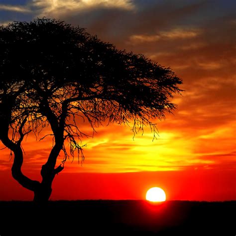African Sunset 2 Brabet