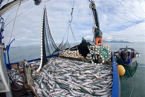 Alasca A Pesca Maquina De Fenda