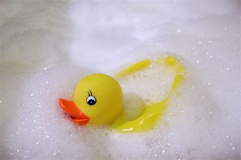 Bath The Duck Brabet