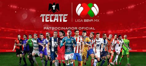 Betsul Mx Players Deposit Not Reflected In