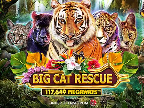 Big Cat Rescue Megaways Betano