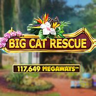 Big Cat Rescue Megaways Betsson