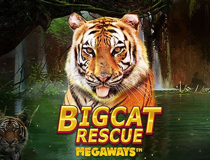 Big Cat Rescue Megaways Leovegas