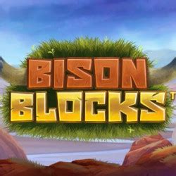 Bison Blocks Review 2024