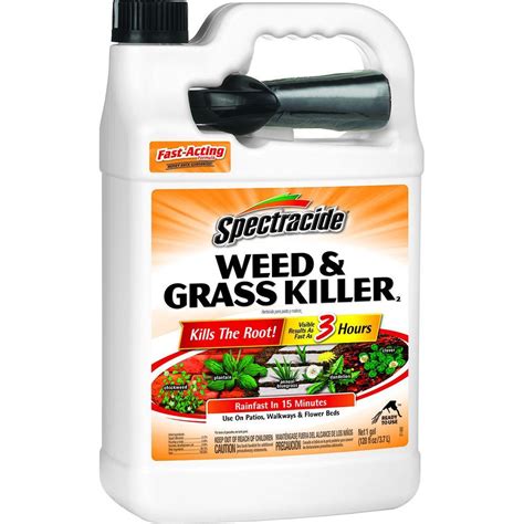 Blackjack 21 Weed Killer