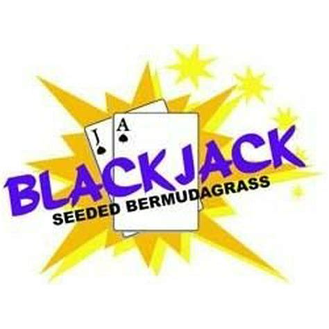 Blackjack Bermuda Comentarios