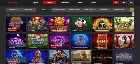 Bodog Slots Gratis