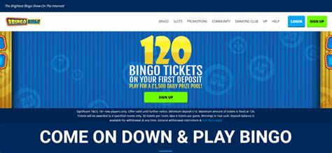 Bringo Bingo Casino Online