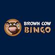 Brown Cow Bingo Casino Costa Rica