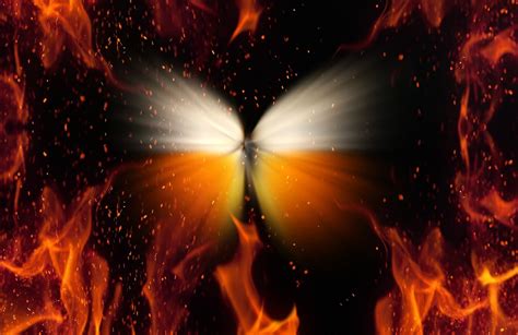 Butterfly Blaze