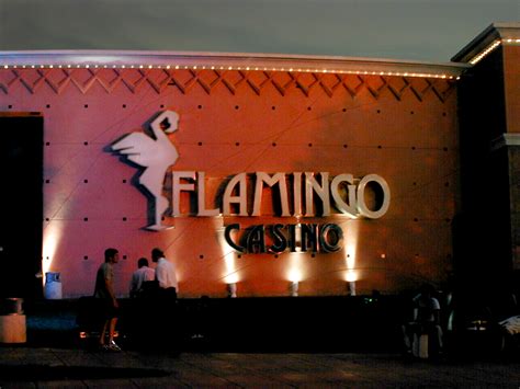 Casino Flamingo Merlo Direccion