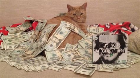 Cats And Cash Betano