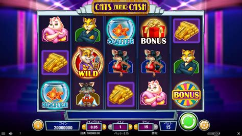 Cats And Cash Netbet