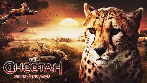 Cheetah Jogo