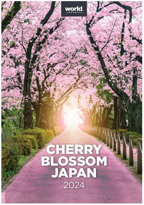 Cherry Blossoms Scratch Review 2024