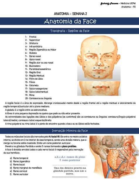 Cinza Anatomia Poker Face Resumo