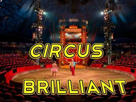 Circus Brilliant Brabet