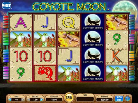 Coyote Executar Slots Livres
