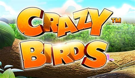 Crazy Birds Review 2024