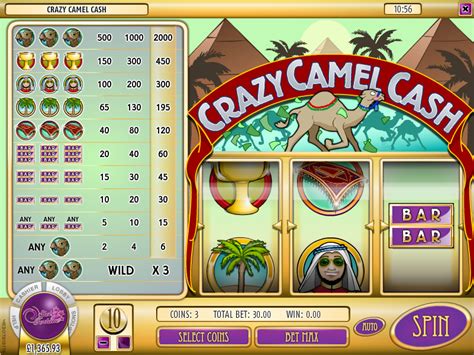 Crazy Camel Cash 1xbet
