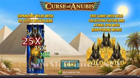 Curse Of Anubis Review 2024