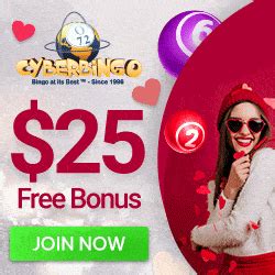 Cyber Bingo Casino Bonus