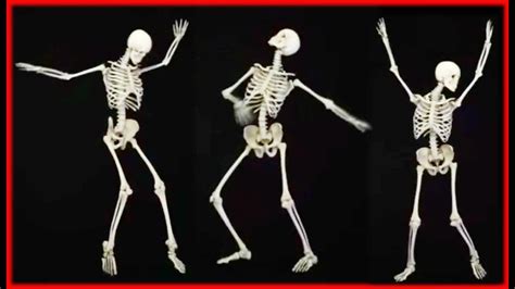 Dancing Bones Betsul