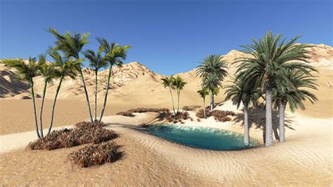 Desert Oasis Brabet