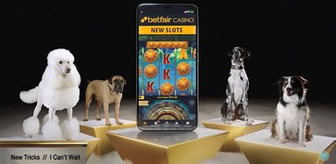 Doggy Wealth Betfair