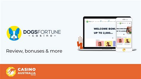 Dogsfortune Casino Online