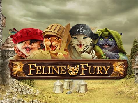 Feline Fury Bodog