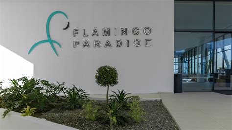 Flamingo Paradise Bet365