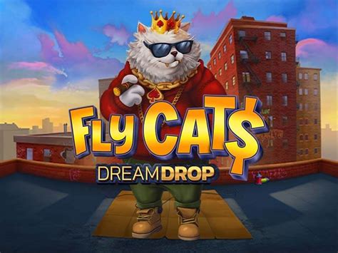 Fly Cats Dream Drop Brabet