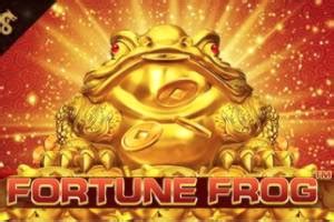 Fortune Frog Betfair