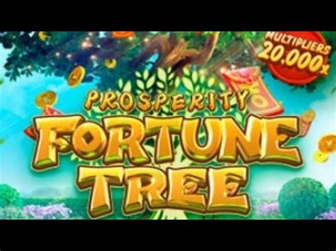 Fortune Tree 1xbet