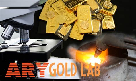 Gold Lab Review 2024