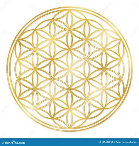 Golden Flower Of Life 1xbet