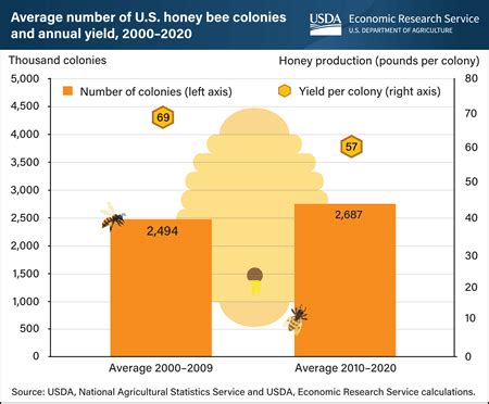 Honey Bees Review 2024