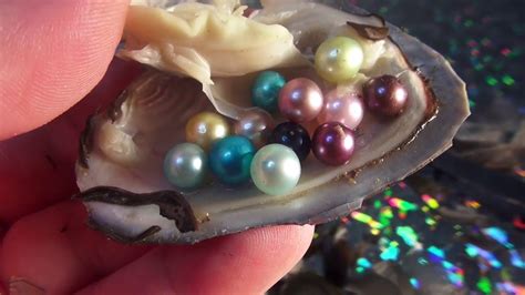 Jogar Sea Of Pearls Com Dinheiro Real