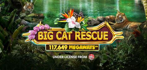Jogue Big Cat Rescue Megaways Online