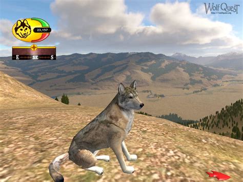 Jogue Wolf Quest Online