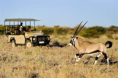 Kalahari Safari Brabet