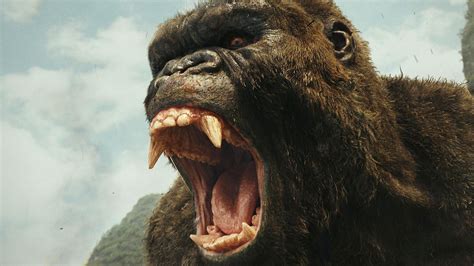King Kong Betsul