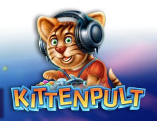 Kittenpult 1xbet