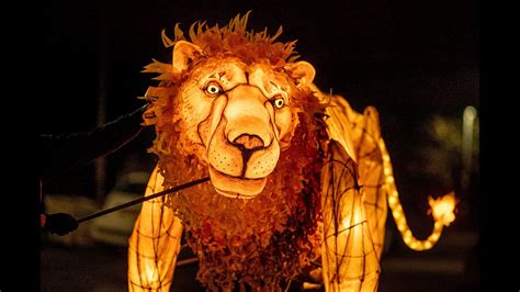 Lanterns Lions Betsul