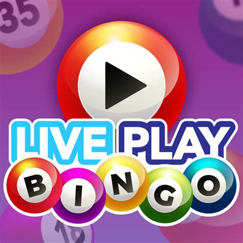 Live Bingo Casino Apk