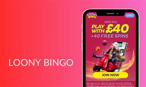 Loony Bingo Casino Mobile