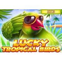 Lucky Tropical Birds 3x3 Betano