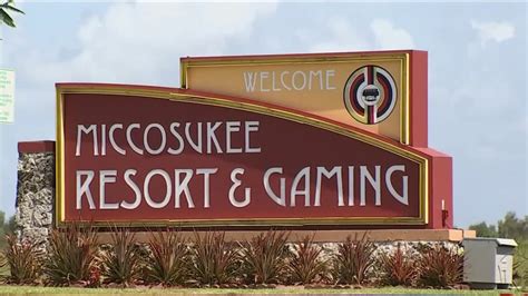 Miccosukee Casino Primeira Vez